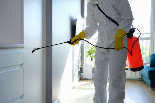 Best Mold Testing  in Cutler, CA