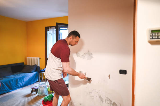 Best Certified Mold Removal  in Cutler, CA