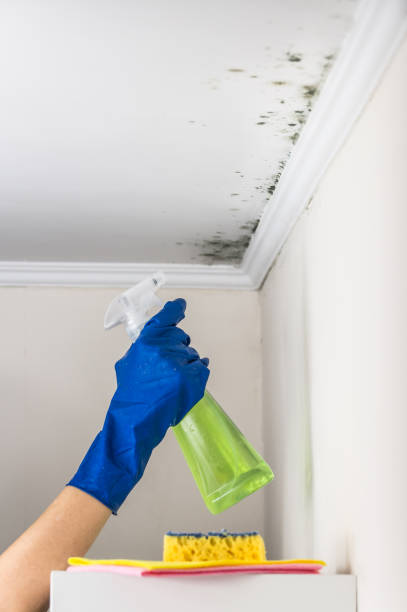 Best Mold Testing  in Cutler, CA